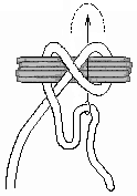 Slipped Constrictor Knot